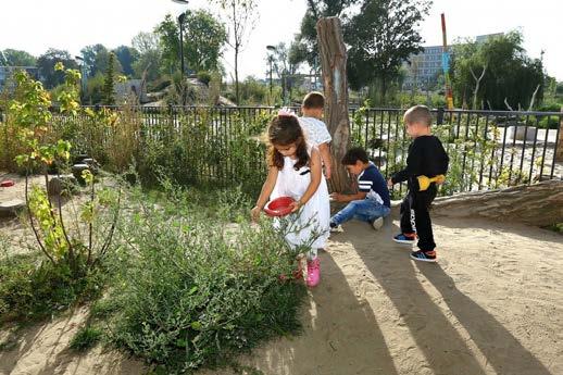 Groene schoolpleinen Buiten spelen en leren in een natuurlijke omgeving stimuleert de ontwikkeling van kinderen.