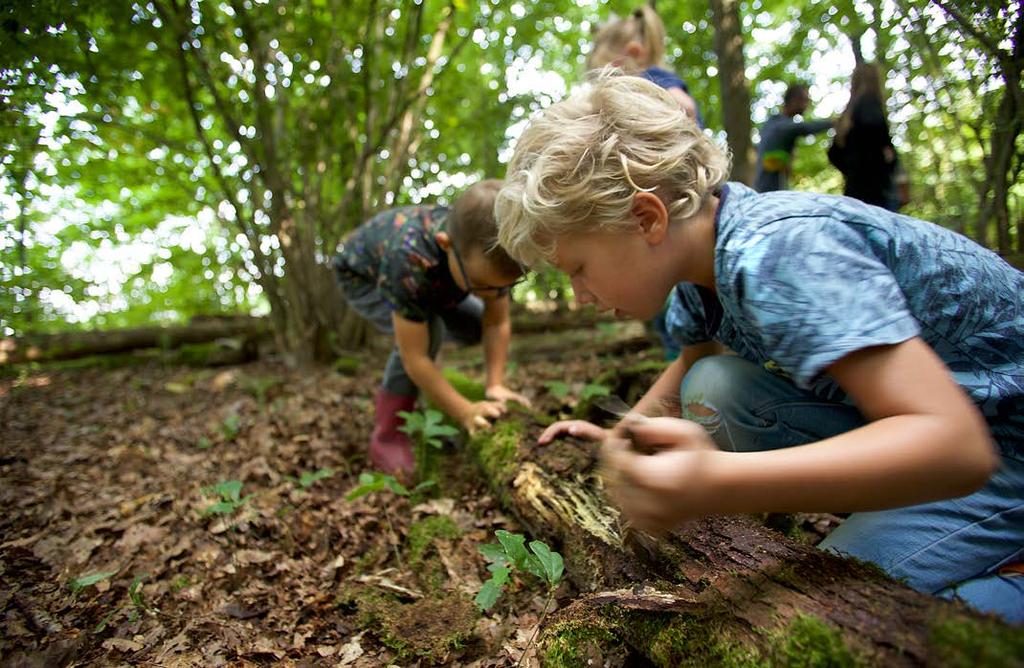 Naar buiten! Buiten beleef je het! Kinderen ontdekken seizoenen, dieren en planten in hun natuurlijke omgeving.