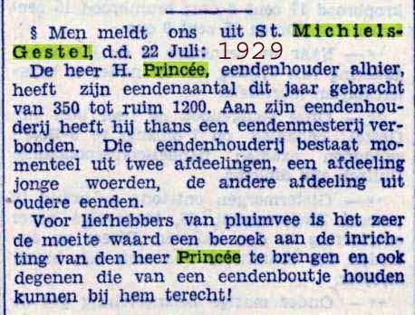 Op 14 november 1946 verhuist Jos met zijn zieke vrouw terug naar de Torenstraat, maar nu naar het