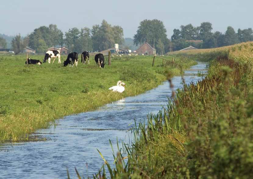 LMM-nieuws jaargang 4 nr.