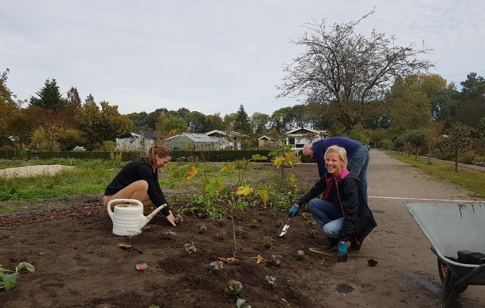 Perken paddenpoel beplant Eindelijk konden de perken rond de paddenpoel echt beplant.