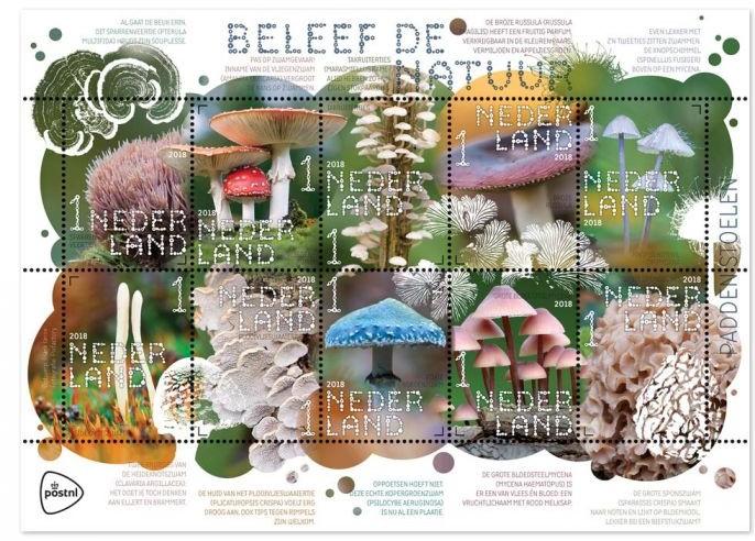 Of als je meeloopt (op tv dan) met een enthousiaste mycologe door het waterloopbos in de Flevopolder en dan hoort dat er in dat bos wel 400 (vierhonderd!) soorten paddenstoelen voorkomen.