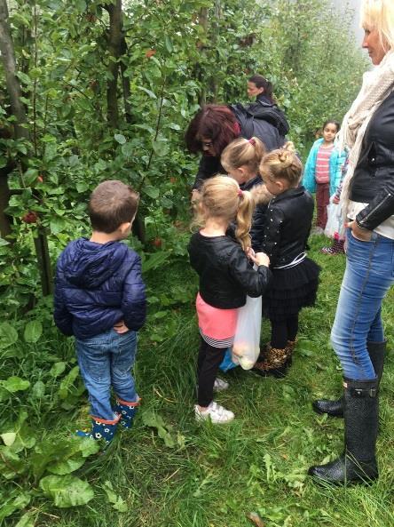Daarna hebben de kinderen zelf mooie appels uit de bomen mogen plukken om mee naar school te nemen. Ook is de oogst gewogen en zelfs door de kinderen zelf afgerekend.
