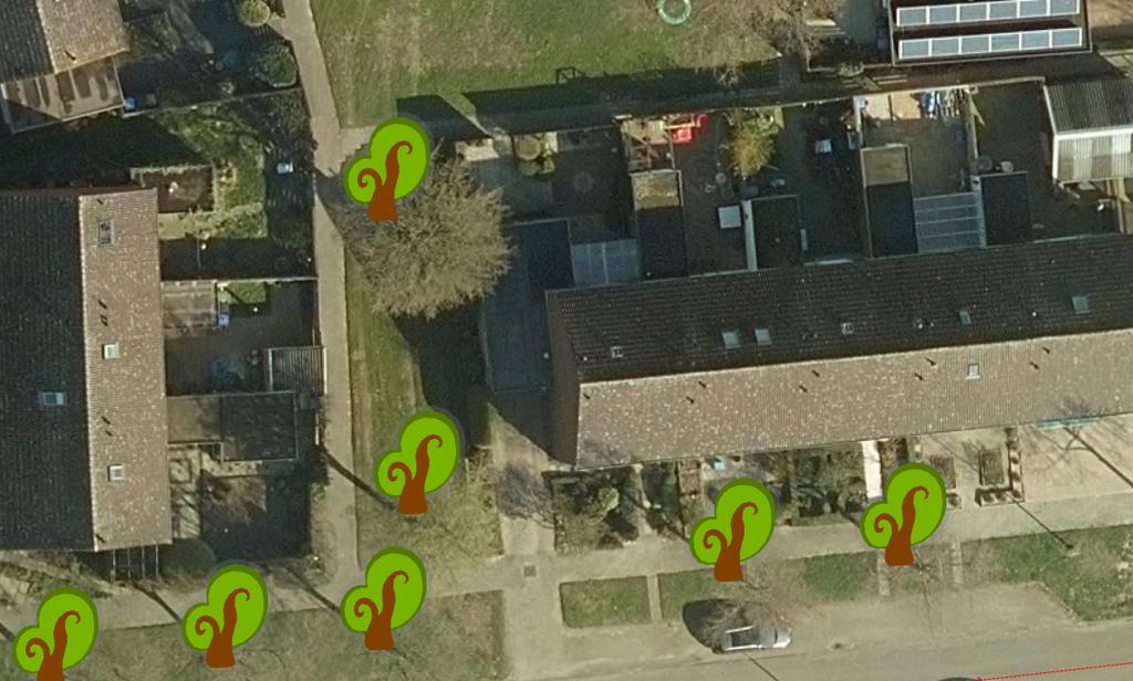 2 veldesdoorns op het gemeentelijk gazon naast Kipakkers 19 1 eik aan de