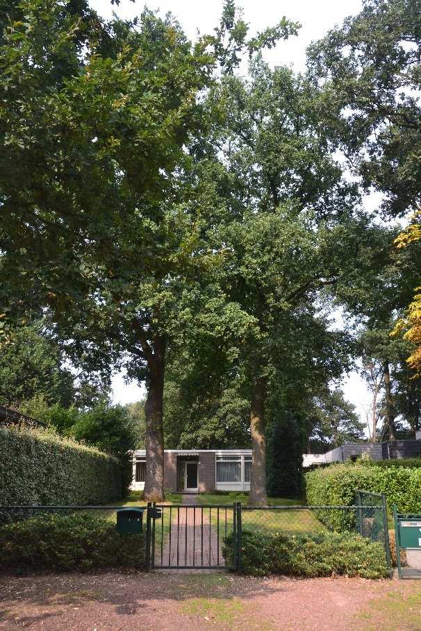 Beschermwaardige Boom nr. 6c Hofstraat 17 Voortuin Quercus robur Zomereik De boom bevindt zich in de voortuin van een bungalow in een boomrijke omgeving.