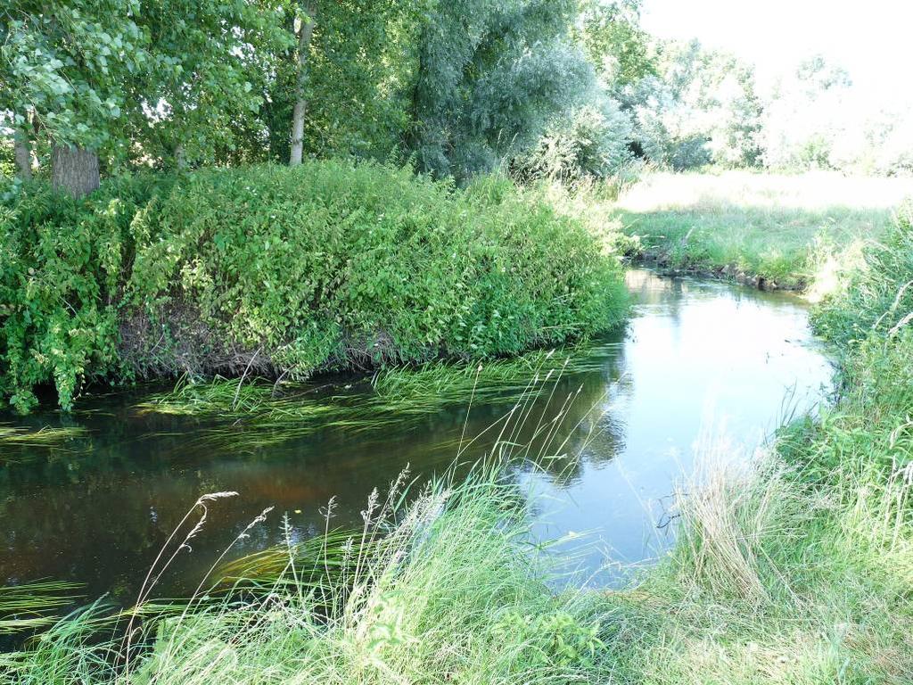 Meetrapport Waterlichaam Loobeek_Afleidingskanaal 2010 Molenbeek nabij de monding in de Maas Opgesteld