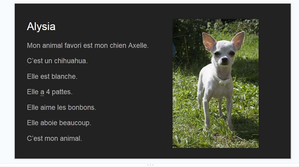 Nos animaux favoris Iedereen van de klas moest een lievelingsdier kiezen en een uitleg over dat dier maken in het Frans.