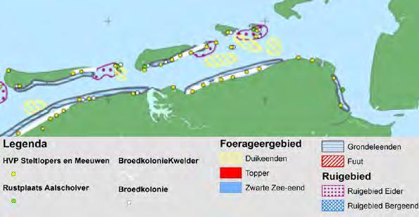 Soortbeschermingstoets Cobra cable 5.4.2.3 FOERAGEERGEBIEDEN VAN VOGELS De Waddenzee heeft een belangrijke functie als foerageergebied voor vogels.