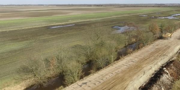 Er wordt al lang over gesproken. Maar gaat het nu dan ook echt gebeuren: Paludi Cultuur oftewel natte Landbouw?