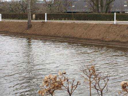 Bomenplan in de maak Oudewater werkt aan een bomenplan. De provincie helpt een handje daar waar het gaat om de inventarisatie van beschermde boomsoorten.