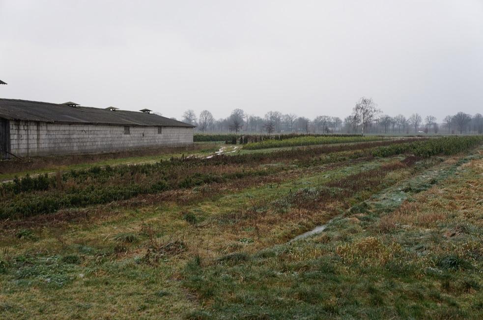 Zicht vanaf Hooghoutseweg op deels te verwijderen bebouwing.