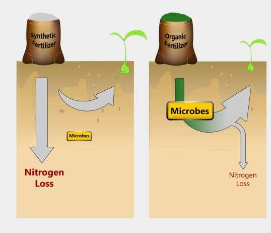 Kunnen organische inputs benutting van (minerale) N
