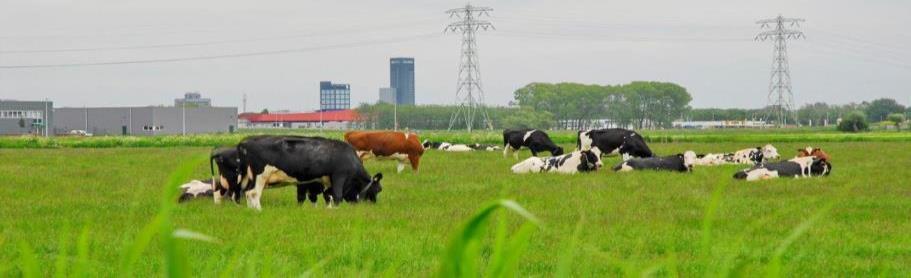 Dairy Campus is powered by Wageningen UR Livestock Research, Hogeschool Van Hall Larenstein, Nordwin College, LTO