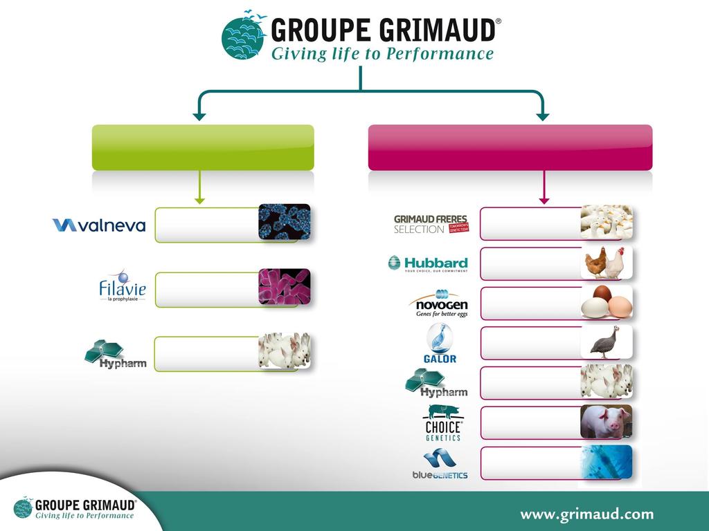 GRIMAUD Families - Meerderheid - Financiële partners BPI, Unigrains, SODICA, Naxicap, CM-CIC Capital France, Océan-Participations,