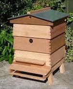 (1) Of soms in een holle ruimte Soms wonen bijen bij een imker.