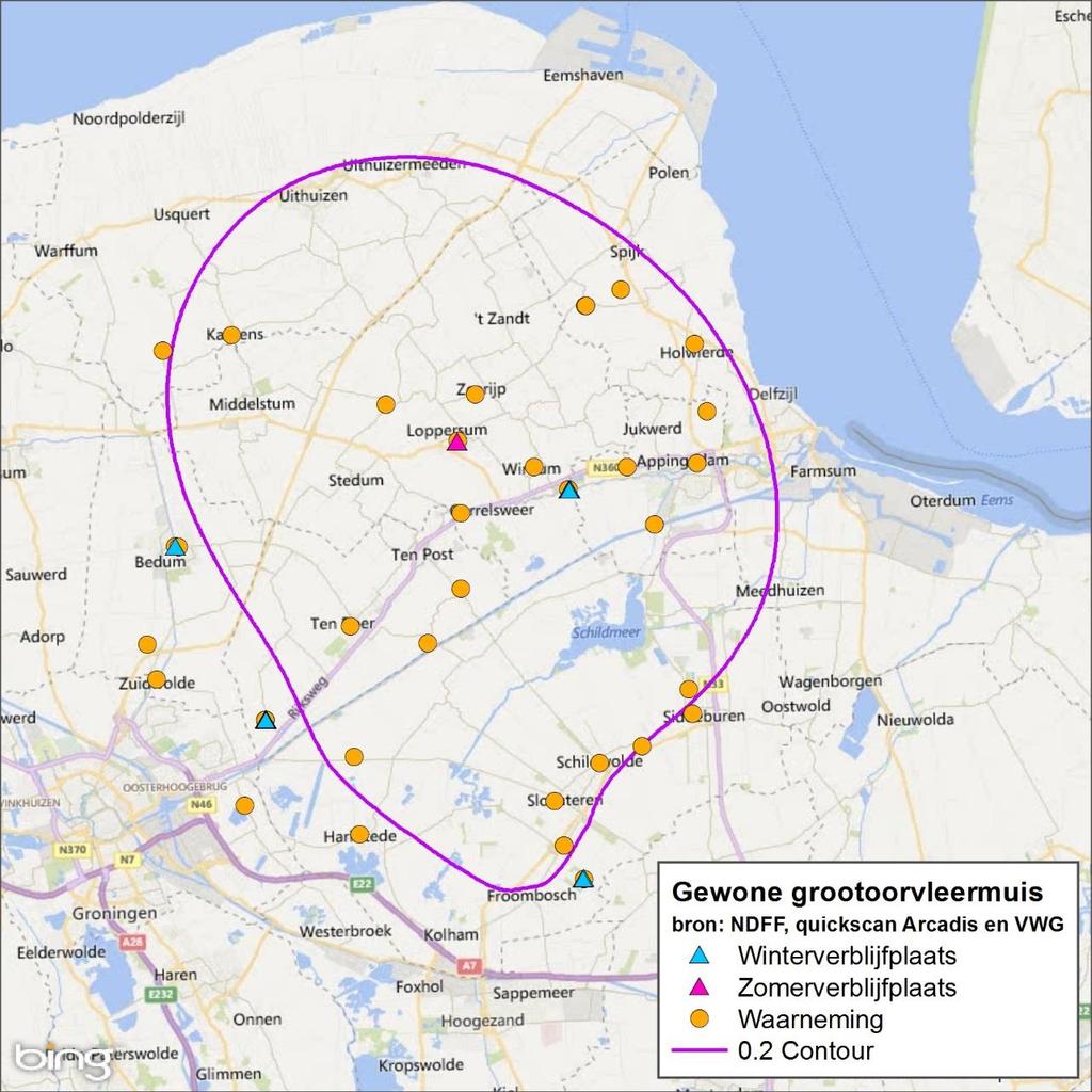 Regionale verspreiding Er zijn weinig gewone grootoorvleermuizen in het plangebied waargenomen (NDFF, 2017). De geregistreerde individuen komen verspreid in het plangebied voor.