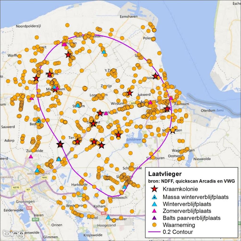 Landelijke verspreiding en trends De laatvlieger is minder algemeen aanwezig in Nederland vergeleken met de gewone dwergvleermuis. De soort staat in de rode lijst als kwetsbaar 3.