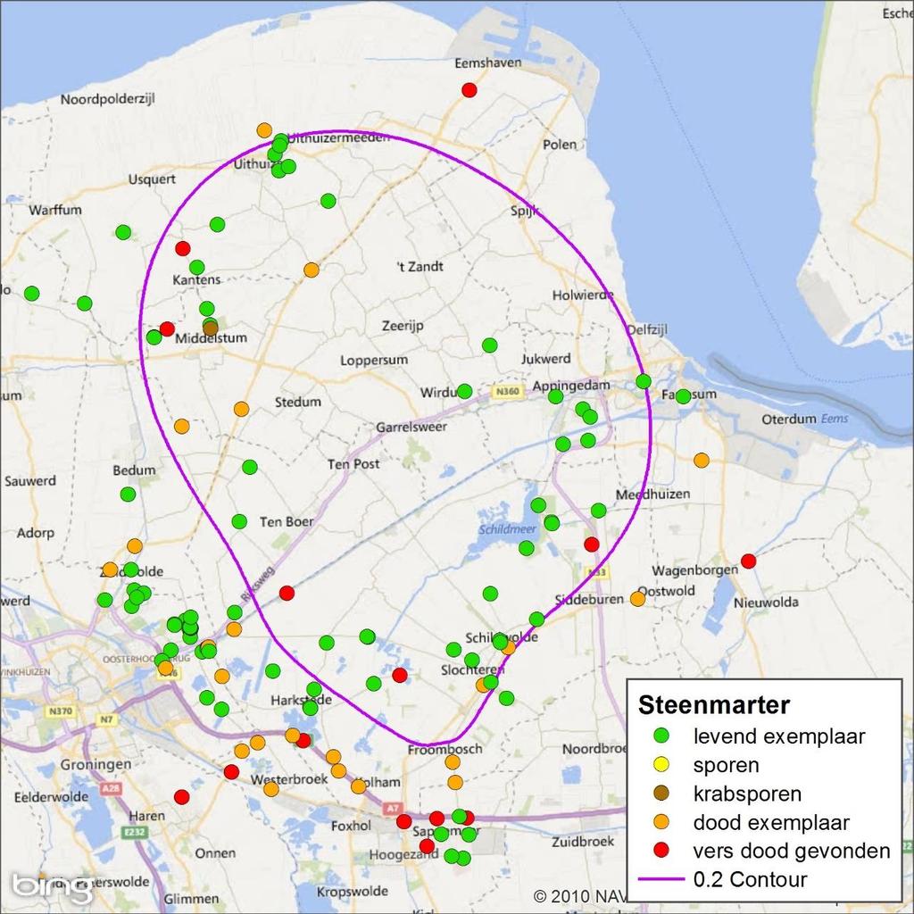 Regionale verspreiding Van de steenmarter zijn vooral veel waarnemingen bekend in het zuidwesten van het plangebied, rond Groningen. Overige waarnemingen zijn verspreid in het plangebied.