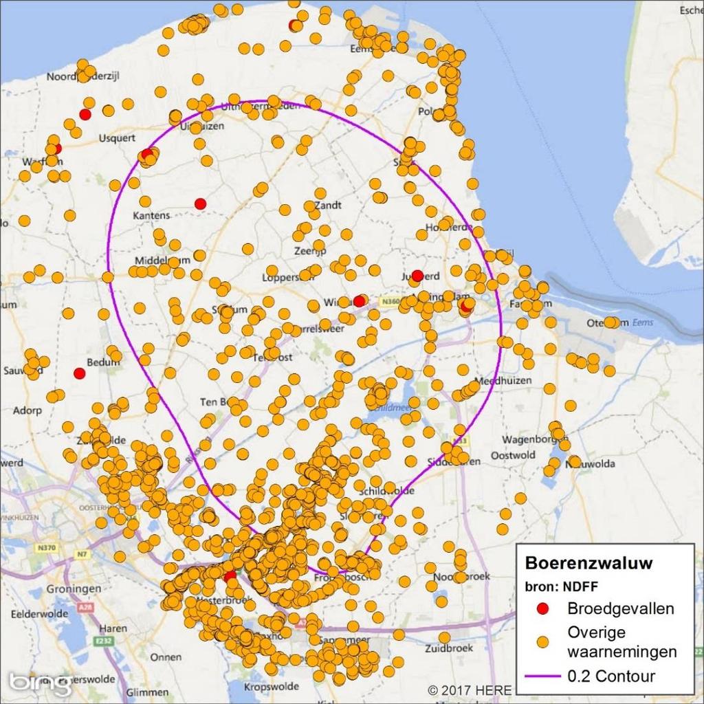 Regionale verspreiding Er zijn gegeven gegevens bekend over de regionale trend van de boerenzwaluw in Groningen of het plangebied.