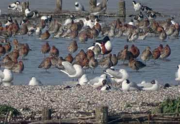 Koffietijd bij windkracht 8, foto: Jan Flink Deze SNOEK is volgens ons niet door de wind uit