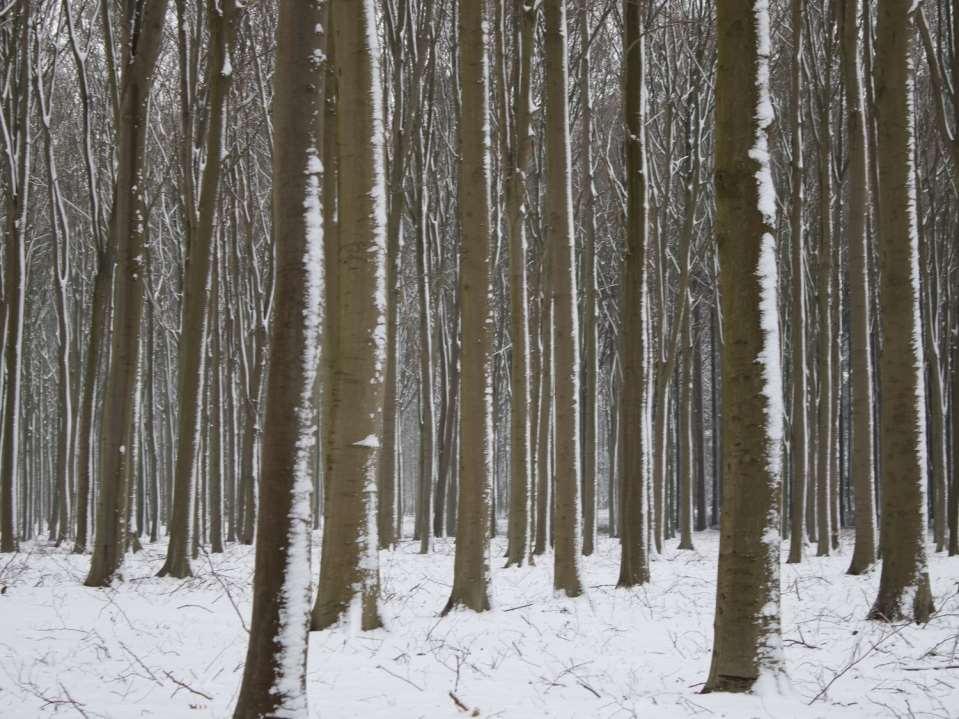 Merk op: we gaan sowieso terug naar een ijstijd want hier spelen andere factoren mee: De baan van de aarde rond de zon beschrijft een elips, die zit in een cyclus van 120.