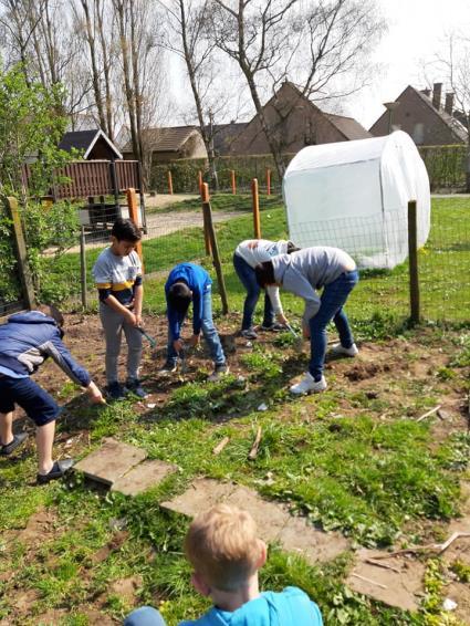 In alle klassen wordt geëxperimenteerd met coöperatieve werkvormen