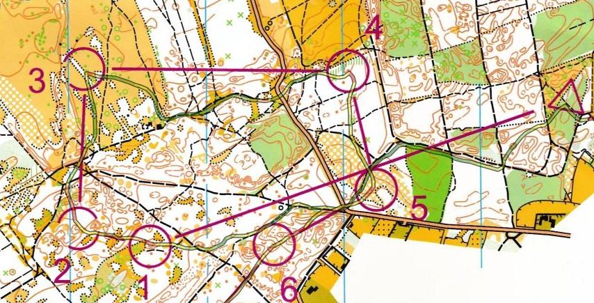 Nationale Lang 17 maart 2019 Lommel Eerste Jil Mylle (D-16) Ellen Mols (D35) Elisabeth Schutjes (D40) Amber Thys (D45) Kobe Deferm (H-10B) Jorn Kennis (H-14) Jeroen Hoekx (HE) Siegfried Bakelants