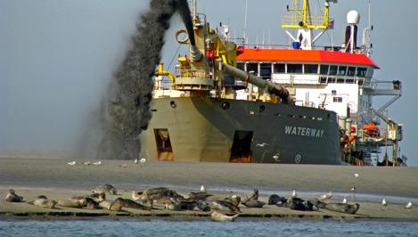 Die locatie is dan op zichzelf uitgeput, als het gaat om het vinden van voedsel voor vogels en het type gebied op die locatie.