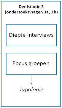 Deelstudie 3: Onderzoeksvraag: Welke set ideaaltypische verschijningsvormen en bijbehorende
