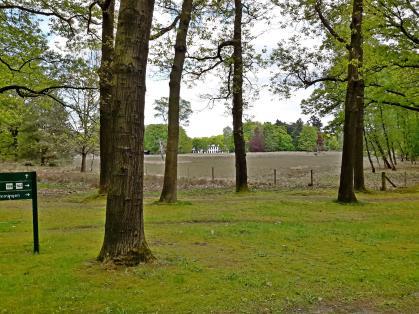 Het pad doorsnijdt de reliëfrijke zone jonge windvormingen ongeveer in lengterichting.