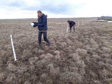 Afschot Eiland Arkemheen 22 34 Eemland