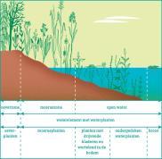 watersysteemanalyse met ecologische sleutelfactoren STOWA aangepast voor een breed publiek Bijkomende oproep om namen van soorten(groepen) in te geven via waarnemingen.be 1.