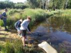 be Werkgroepen Netwerk Natuuronderzoek Waterwerkgroep Netwerk Natuuronderzoek & Netwerk Citizen