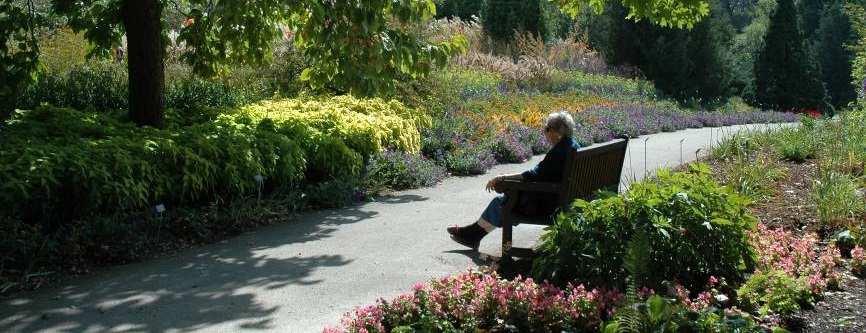 Rosa) Syringa vulgaris Benoemen geuren lastig; veel gebruikte classificatie: zoet,