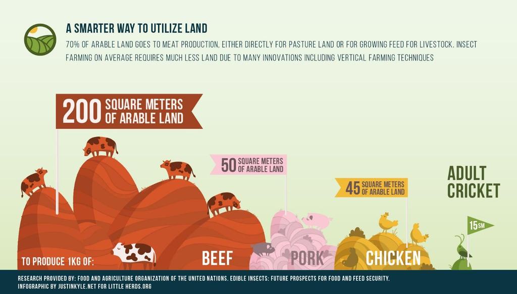 Tijd voor een gesprekje.. Op deze poster zie je hoeveel vierkante meters land een dier nodig heeft om 1 kilo vlees te produceren.. Kijk zelf maar! Bespreek dit eens.