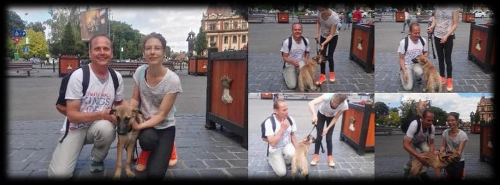 -10-2.3. Brașov Sinds september 2015 is Thea's Furry Friends Sanctuary in Brașov toegevoegd als project van Happy Dogs of Romania.