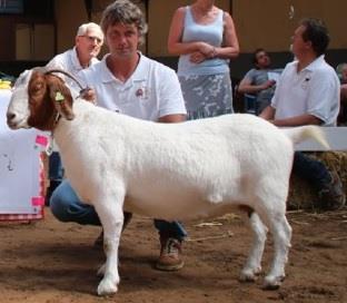 Fokgroepkeuring Heeten, 26 mei 2017 Reserve kampioen