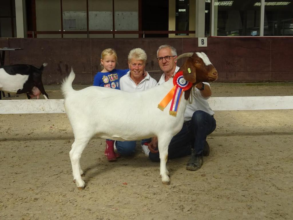 NOG keuring Heeten, 9 september 2017 Kampioen boergeit niet gelamd en