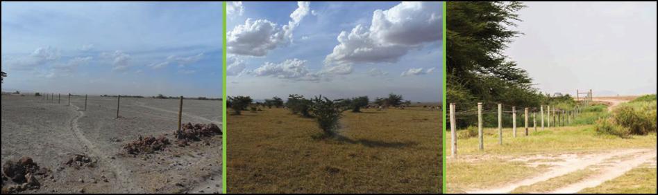 Het projectgebied Op basis van een haalbaarheidsonderzoek van de Wageningen Universiteit is een gebied tussen Kenya en Tanzania als hydrologische corridor gekozen; een gebied van 20.