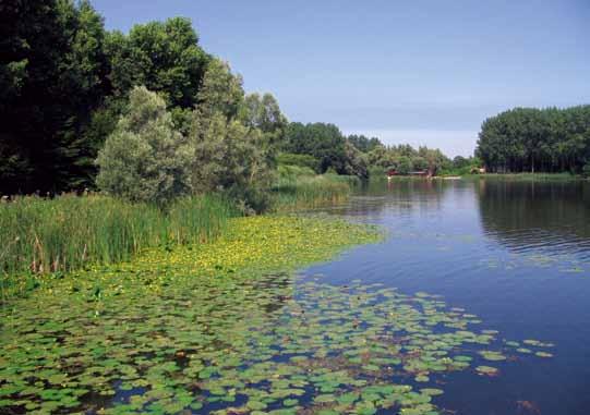 6 Stroomgebiedafstemming Waterlichaam De Viersprong ten zuiden van Dordrecht Foto: Waterschap Hollandse Delta Er is in Rijn-West sprake van afwenteling, zowel vanuit het buitenland, vanuit Rijn-West