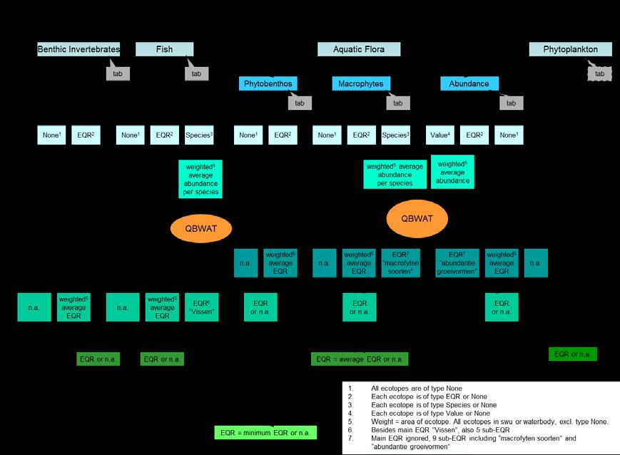 worden door de KRW-Verkenner areaalgewogen gemiddeld per rekenpunt en vervolgens als soortenlijst met berekende abundantie per rekenpunt doorgegeven aan QBWat voor het berekenen van de EKR-score.