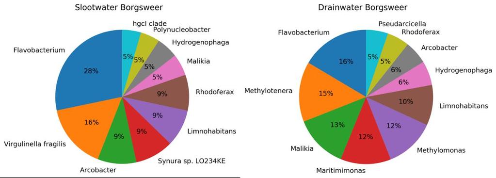 6.4.3 Microbioom-analyse De bacterietellingen en de levend/dood tellingen geven een idee over de hoeveelheid bacteriën in de watermonsters en de vitaliteit van deze bacteriën.