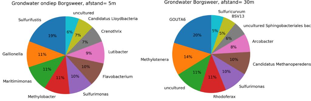 Figuur 45: De 10 grootste bacteriegroepen volgens de microbioom analyse in het grondwater van Borgsweer.