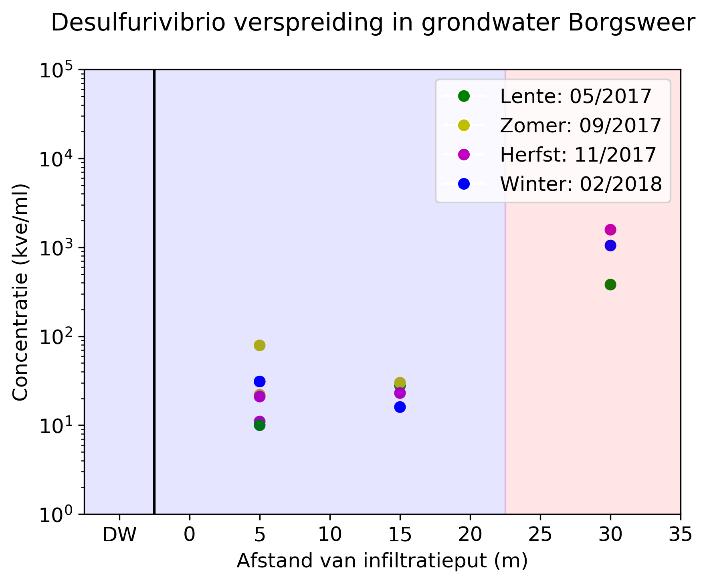 Sulfaat-reducerende bacteriën Figuur 52: De volgorde van de reductie processen in grondwater. Met in het rode vierkant de benodigde stoffen voor denitrificerende en ijzer oxiderende bacteriën.
