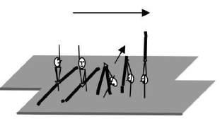 Salto v.w. Salto v.w. zweefrol III Stut boven horizontaal endorol v.