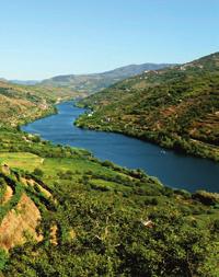 Pinhao Porto Buitenhut vanaf 1.499 p.p. vanaf 1.499 Douro Cruise nr.