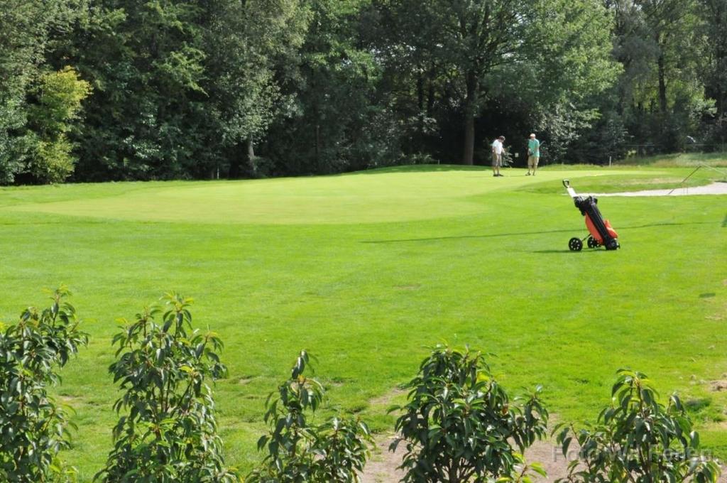 marjan bedet Golfclinic voor PVGE-leden Golfclub Son is een gezellige club, met een kleine, maar uitdagende 9- holesbaan.