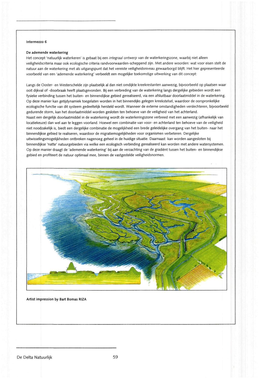 Intermezzo 6 Deademende waterkering Het concept 'natuurlijk waterkeren' isgebaat bij een integraal ontwerp van de waterkeringszone, waarbij niet alleen veiligheidscriteria maar ook ecologische