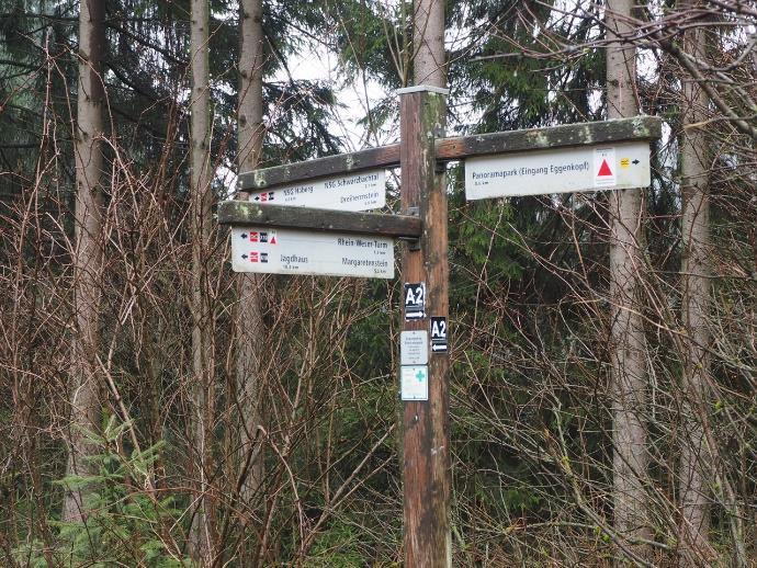 Het gaat er deels tussen struikgewas door, stukjes bos, maar ook veel percelen met jonge aanplant. De twee witte strepen zijn overal duidelijk aangegeven zodat de route eenvoudig te volgen is.