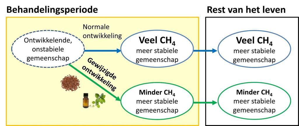 Doel en hypothese Sturen van de microbiële gemeenschap in de pens naar